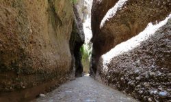 چهار گردشگر خانم مفقود شده در “کول خرسون” دزفول پیدا شدند