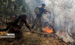 مهار آتش در منطقه حفاظت‌شده «شیمبار» پس از ۳۶ ساعت
