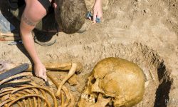 کشف دندان ۴۵۰ هزار ساله قدمت سکونت انسان در فلات ایران را به نیم‌میلیون سال نزدیک کرد