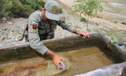 ترمیم و ‌بازسازی‌ آبشخورهای منطقه حفاظت شده «کُرایی»