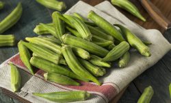 خواص بامیه سبز را بیشتر بشناسید + فواید و عوارض