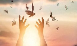 آزادی ۱۱۰ مددجوی زندانی غیرعمد در خوزستان