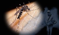 تب دانگ در یک قدمی/ ۴۰ شهر درگیر و ۱۵۰ مورد ابتلا