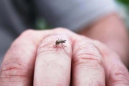 تب دنگی چیست؟ + روش‌های پیشگیری و درمان خانگی