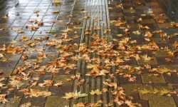 سال گذشته ال‌نینو حاکم بود امسال لانینا / بارش ها در پاییز و زمستان چگونه می شود؟