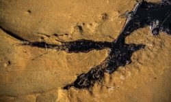 ۹۰ درصد آلودگی خاک در خوزستان ناشی از فعالیت‌های نفتی است