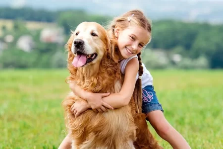 واقعیت‌های کمتر گفته شده از حیوانات خانگی / هزینه نگهداری سگ‌های خانگی چقدر است؟