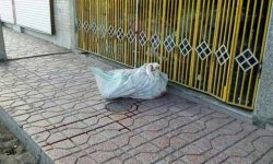 کشف جسدی داخل یک گونی در یکی از پارک‌های تهران