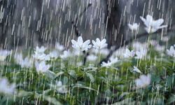 آغاز بارش ها در برخی استانها از امروز / تقویت گستره بارشی از فردا