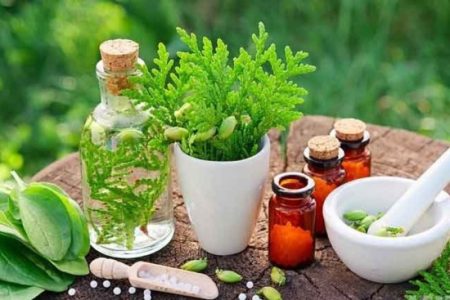 برداشت ۲۴ تُن گیاه دارویی در خرمشهر