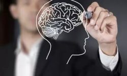 اگر فراموشکار شده اید این ۹ توصیه کمک می‌ کند