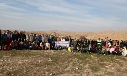 کاشت ۲۰۰ اصله نهال در منطقه حفاظت‌شده هفت‌شهیدان