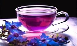 راز پوست شفاف و اعصاب آرام در یک گیاه ایرانی