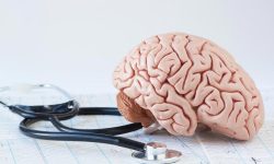 ۵ ماده غذایی که به تقویت حافظه کمک می‌کند