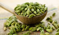 ادویه‌ای معطر با فواید بی‌پایان/ تمام خواص و فواید هل سبز در طب سنتی ؛ درمان بیماری ها و زیبایی