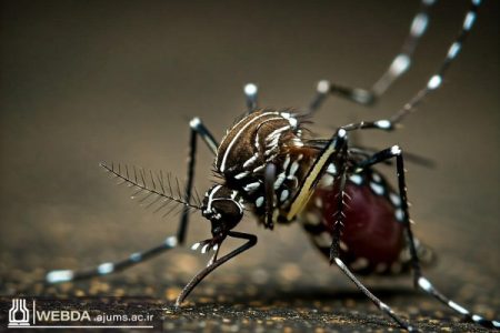 خوزستانی‌ها اقدامات پیشگیرانه انجام دهند