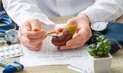 سنگ کلیه چیست؟ / راه‌های پیشگیری از ابتلا به سنگ کلیه / برای دفع سنگ کلیه چه بخوریم؟ ۴ دشمن سنگ کلیه را بشناسید / برای جلوگیری از سنگ کلیه چه بخوریم ؟