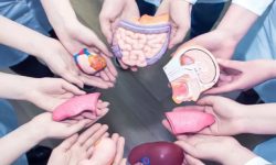 درج نشان قلب روی گواهینامه رانندگی برای اهداکنندگان عضو