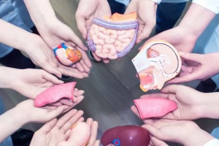 درج نشان قلب روی گواهینامه رانندگی برای اهداکنندگان عضو