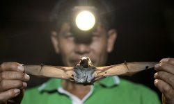 پاسخ به چند سوال درباره ویروس جدید چینی