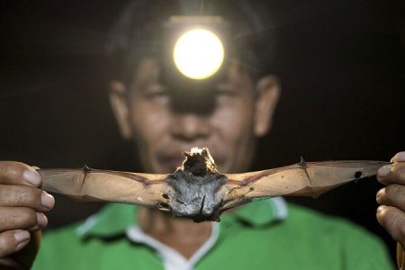 پاسخ به چند سوال درباره ویروس جدید چینی