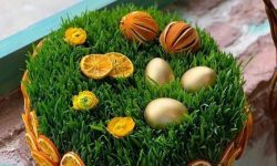 آموزش ۷ مدل سبزه نوروزی سریع و راحت در خانه