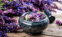 گیاهی شگفت انگیز برای سلامت، زیبایی و تناسب اندام