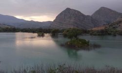 لزوم انجام مطالعات جدید برای نگهداشت آب در تالاب شیمبار