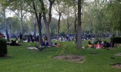 ۱۳ نکته مهم برای اینکه روز قدردانی از طبیعت را به روز عزای آن تبدیل نکنیم!