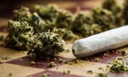 این ماده مخدر از گُل خطرناک‌تر است / مصرف مواد الان دیگر بالای شهر و پایین شهر ندارد