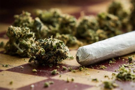 این ماده مخدر از گُل خطرناک‌تر است / مصرف مواد الان دیگر بالای شهر و پایین شهر ندارد