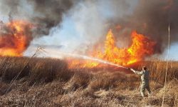 آلودگی از خاک تا آسمان؛ ضرورت توقف آتش‌سوزی‌های کشاورزی در خوزستان