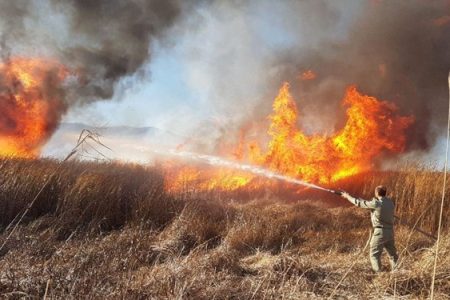 آلودگی از خاک تا آسمان؛ ضرورت توقف آتش‌سوزی‌های کشاورزی در خوزستان