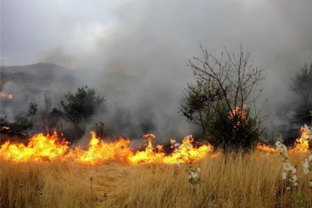 جدی بودن خطر گسترش آتش سوزی در طبیعت خوزستان