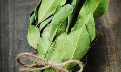 یک برگ و این همه خاصیت!