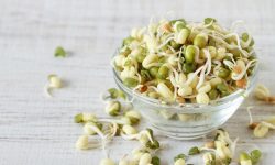 جوانه ماش؛ بمب ویتامین و پروتئین