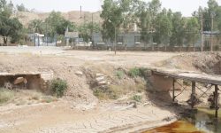 نشت نفت از تأسیسات فرآورشی موجب آلودگی محیط زیست و آب‌ شد