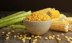 ذرت؛ دانه ای انرژی‌بخش طبیعی برای کودکان و بزرگسالان
