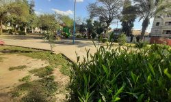 گرما پارک ریحانه اهواز را طعمه حریق کرد