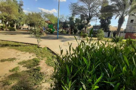 گرما پارک ریحانه اهواز را طعمه حریق کرد