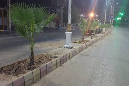 کاشت نخل تزئینی پالم در مسیر بلوار نُمره یک به دوراهی بی‌بیان