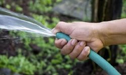 ۲۰ فرمان نجات آب ؛ توصیه های مهم برای کاهش مصرف آب