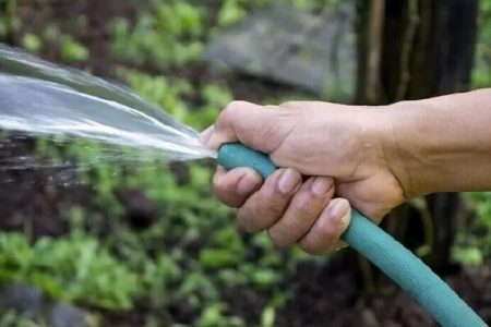 ۲۰ فرمان نجات آب ؛ توصیه های مهم برای کاهش مصرف آب