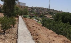 محله چیت‌شویی در مسیر ایمن‌سازی؛ پروژه بازآفرینی محله چیت‌شویی آغاز شد