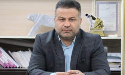 پیام تبریک شهردار مسجدسلیمان در پی انتخاب دکتر جباری به عنوان عضو هیئت رئیسه مجلس شورای اسلامی