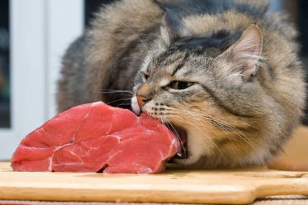 لزوم لغو حکم انتصاب شائبه دار در یک شرکت دولتی!