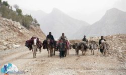 ثبت‌نام عشایر مسجدسلیمان در سامانه سدف جهت دریافت نفت سفید