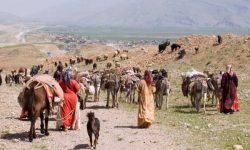 پیشرفت ۶۰ درصدی طرح مرمت ایلراه کیارس_لالی