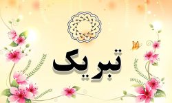 پیام تبریک نماینده مردم مسجدسلیمان در مجلس شورای اسلامی به دانش آموز نخبه مسجدسلیمانی