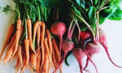 ۱۳ سبزی ریشه‌ای که بدن شما را متحول می‌کنند